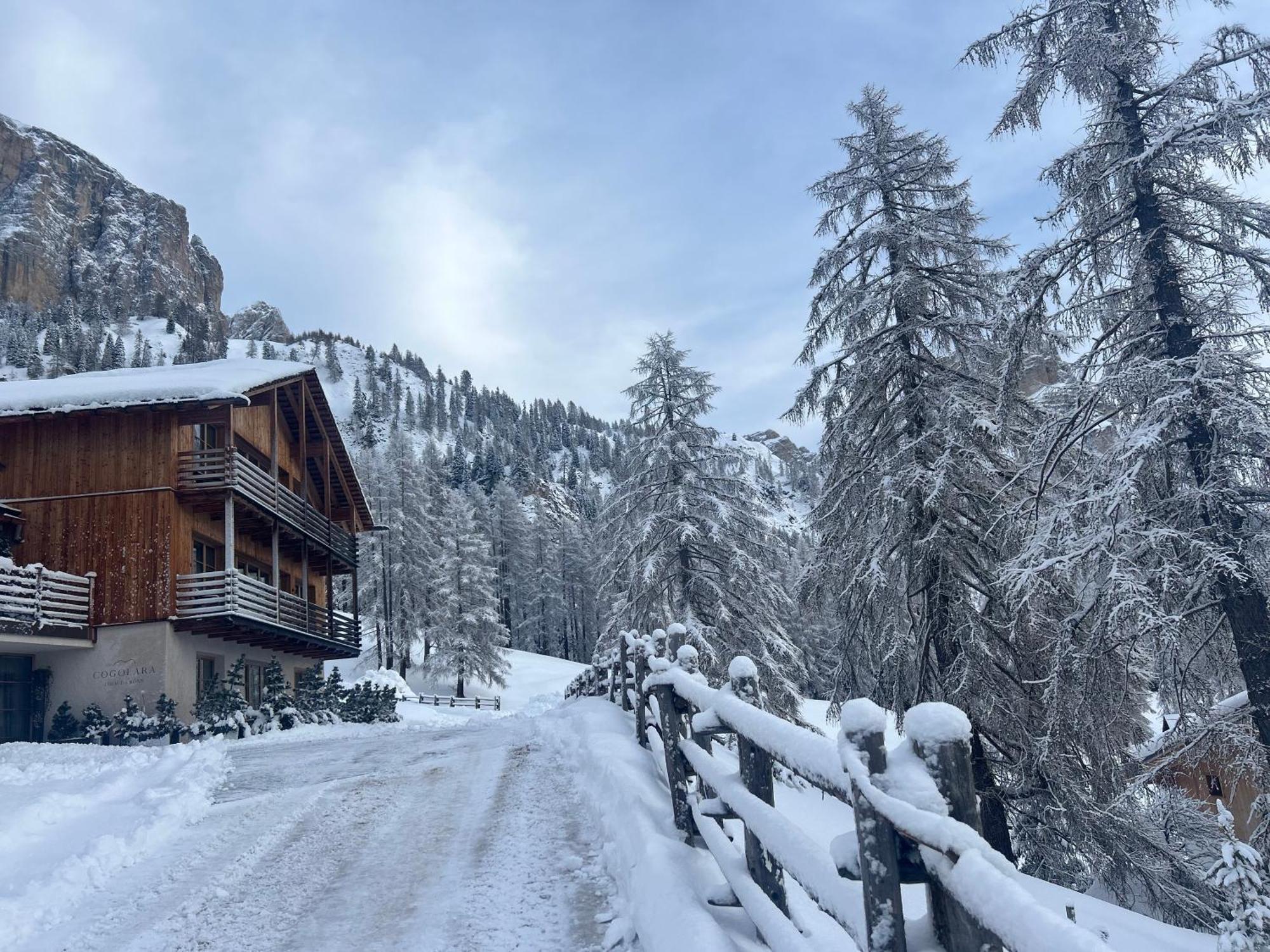 Chalet Cogolara Кольфоско Екстер'єр фото