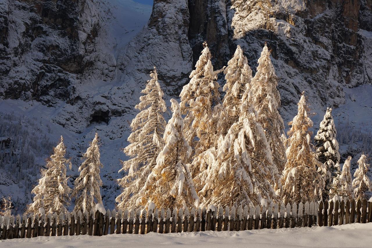 Chalet Cogolara Кольфоско Екстер'єр фото